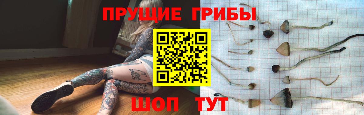 Златоуст  Галлюциногенные грибы мицелий  Галлюциногенные грибы MAGIC MUSHROOMS  Вход с VPN 